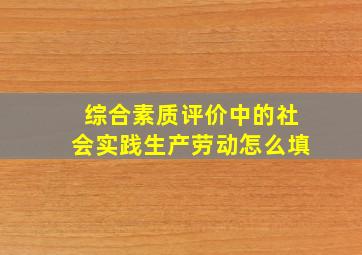 综合素质评价中的社会实践生产劳动怎么填