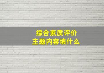 综合素质评价主题内容填什么