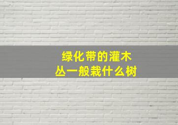 绿化带的灌木丛一般栽什么树