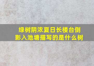 绿树阴浓夏日长楼台倒影入池塘描写的是什么树