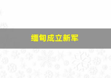 缅甸成立新军