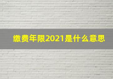 缴费年限2021是什么意思