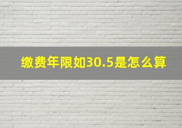 缴费年限如30.5是怎么算