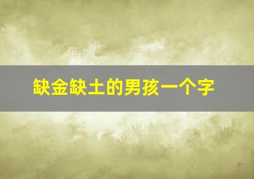 缺金缺土的男孩一个字