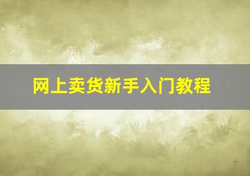 网上卖货新手入门教程