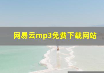 网易云mp3免费下载网站