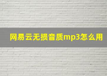 网易云无损音质mp3怎么用