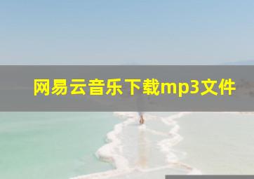 网易云音乐下载mp3文件