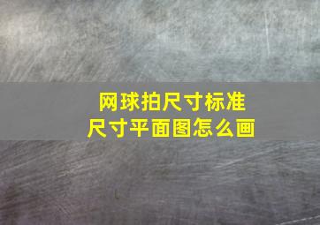 网球拍尺寸标准尺寸平面图怎么画