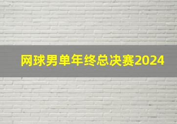 网球男单年终总决赛2024