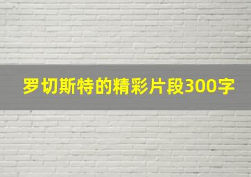 罗切斯特的精彩片段300字