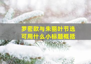 罗密欧与朱丽叶节选可用什么小标题概括