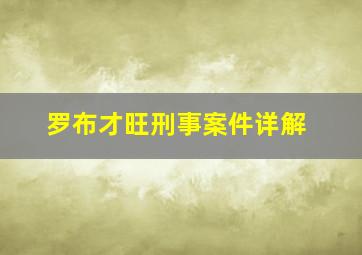 罗布才旺刑事案件详解