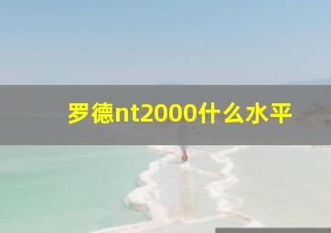 罗德nt2000什么水平