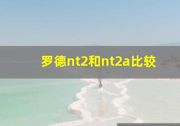 罗德nt2和nt2a比较