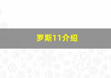 罗斯11介绍