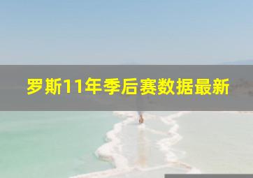 罗斯11年季后赛数据最新