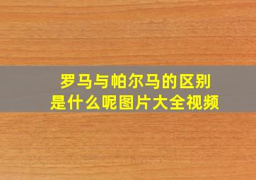 罗马与帕尔马的区别是什么呢图片大全视频