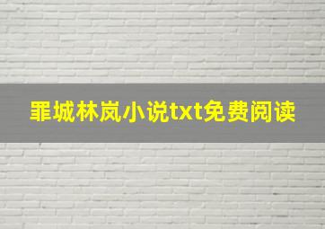 罪城林岚小说txt免费阅读