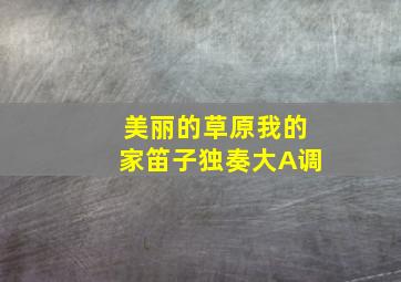 美丽的草原我的家笛子独奏大A调