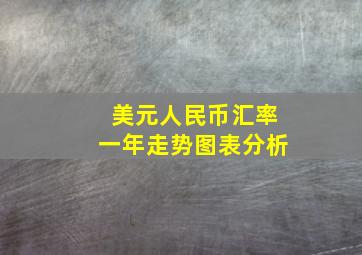 美元人民币汇率一年走势图表分析