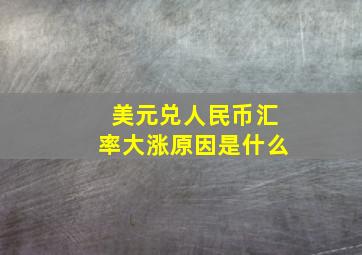 美元兑人民币汇率大涨原因是什么