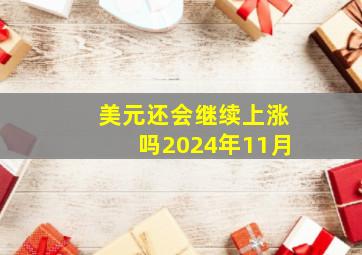 美元还会继续上涨吗2024年11月