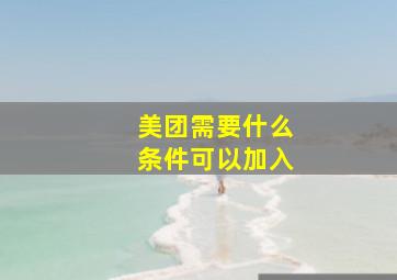 美团需要什么条件可以加入