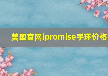 美国官网ipromise手环价格