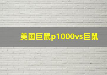 美国巨鼠p1000vs巨鼠