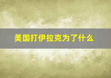 美国打伊拉克为了什么