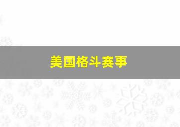 美国格斗赛事