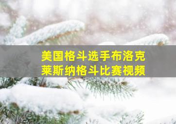 美国格斗选手布洛克莱斯纳格斗比赛视频