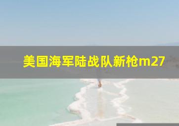 美国海军陆战队新枪m27