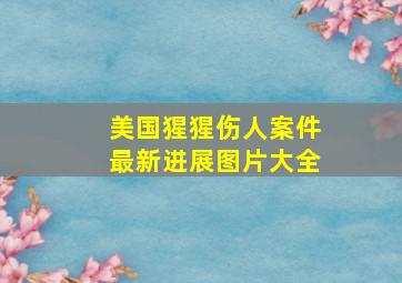 美国猩猩伤人案件最新进展图片大全