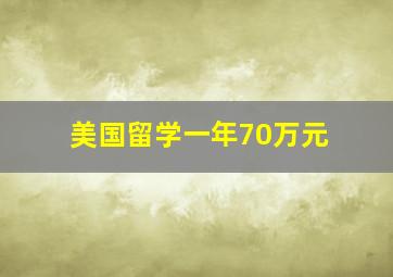 美国留学一年70万元