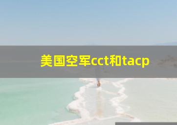 美国空军cct和tacp