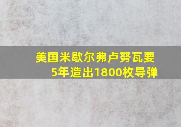 美国米歇尔弗卢努瓦要5年造出1800枚导弹