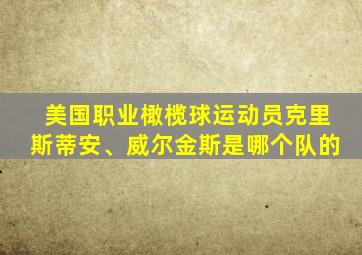 美国职业橄榄球运动员克里斯蒂安、威尔金斯是哪个队的