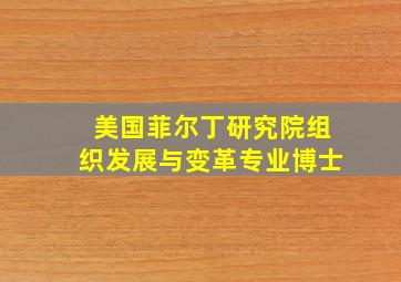 美国菲尔丁研究院组织发展与变革专业博士