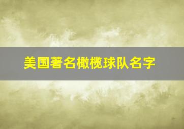 美国著名橄榄球队名字