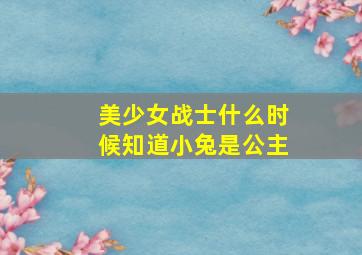 美少女战士什么时候知道小兔是公主