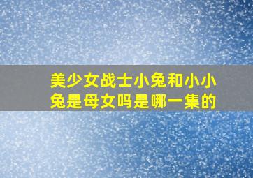 美少女战士小兔和小小兔是母女吗是哪一集的