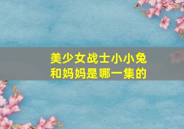 美少女战士小小兔和妈妈是哪一集的