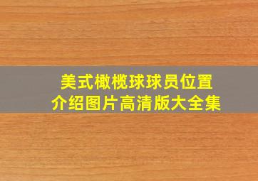 美式橄榄球球员位置介绍图片高清版大全集