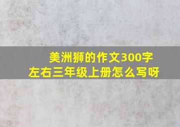 美洲狮的作文300字左右三年级上册怎么写呀