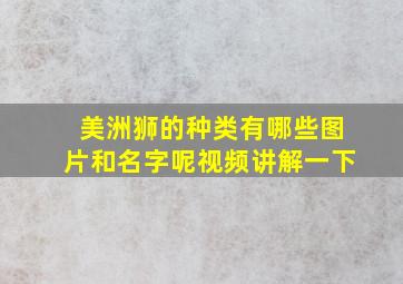 美洲狮的种类有哪些图片和名字呢视频讲解一下