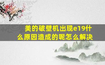 美的破壁机出现e19什么原因造成的呢怎么解决