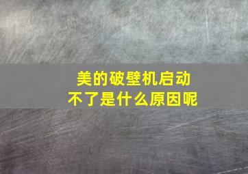 美的破壁机启动不了是什么原因呢