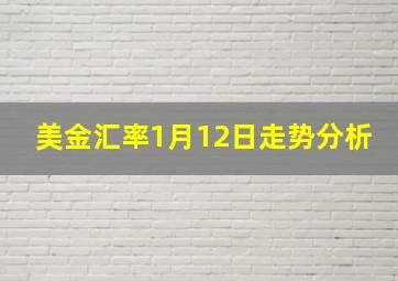 美金汇率1月12日走势分析